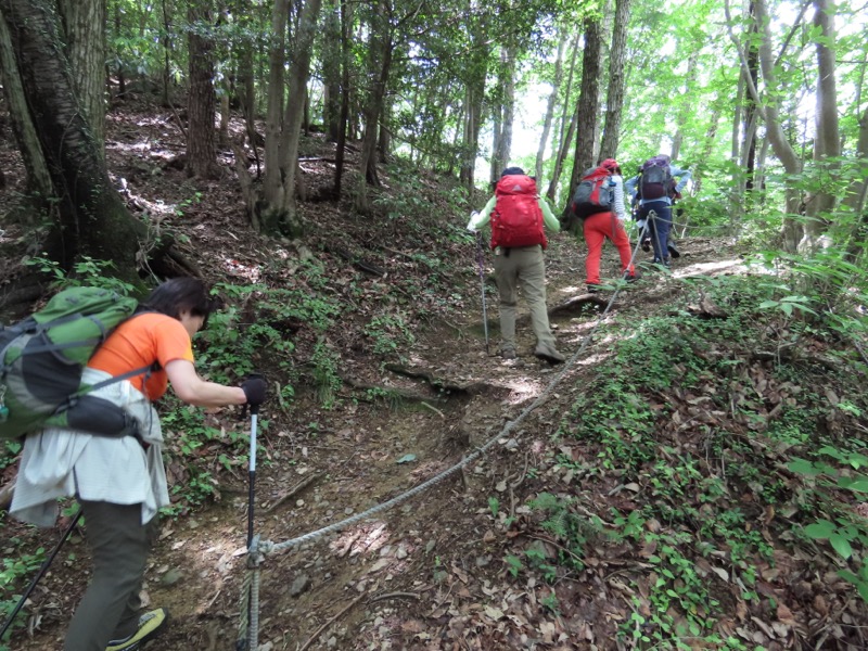 赤ぼっこ、長渕山ハイキングコース