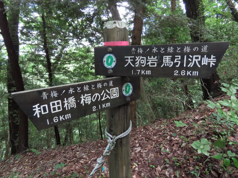 赤ぼっこ、長渕山ハイキングコース