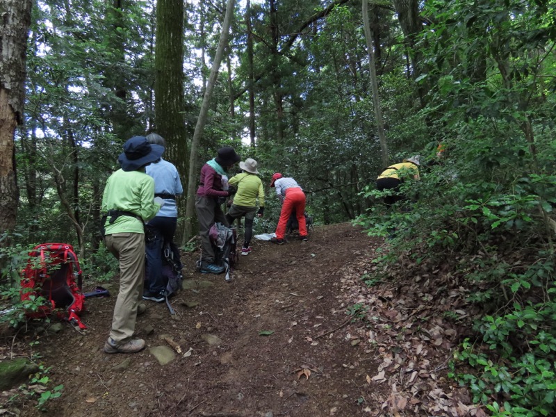 赤ぼっこ、長渕山ハイキングコース