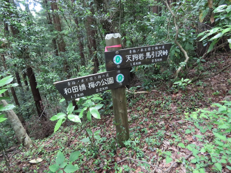 赤ぼっこ、長渕山ハイキングコース