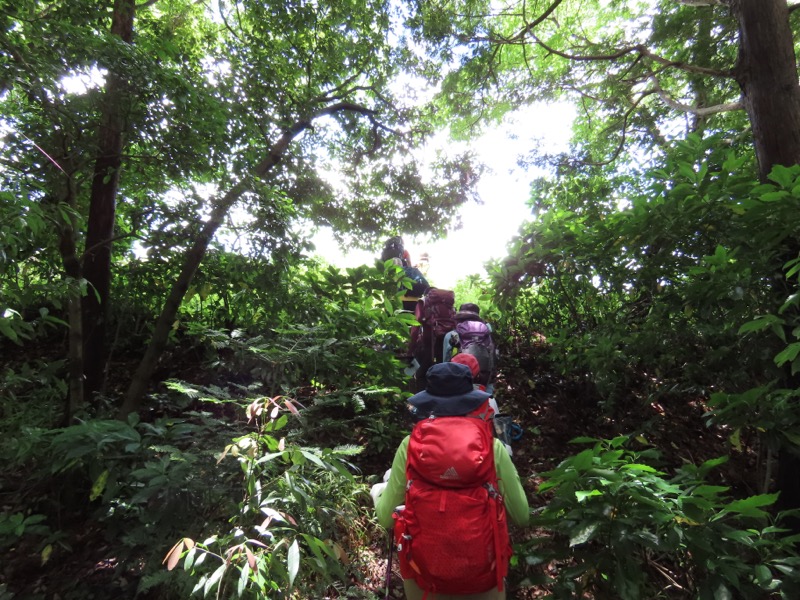 赤ぼっこ、長渕山ハイキングコース