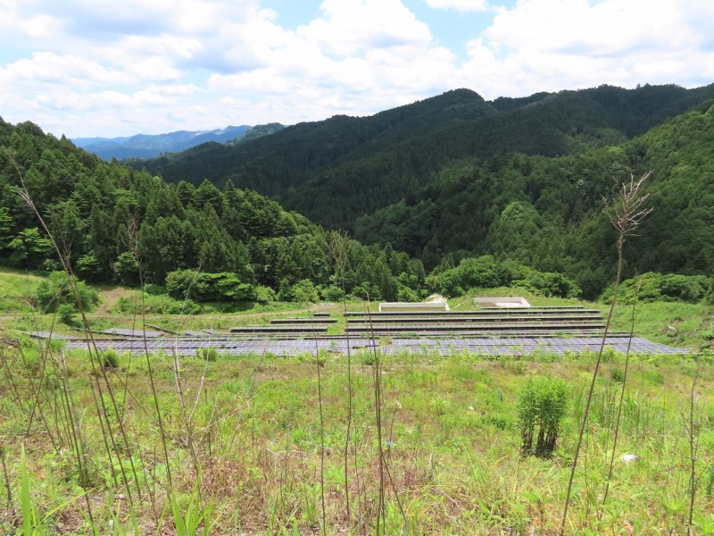 赤ぼっこ、長渕山ハイキングコース