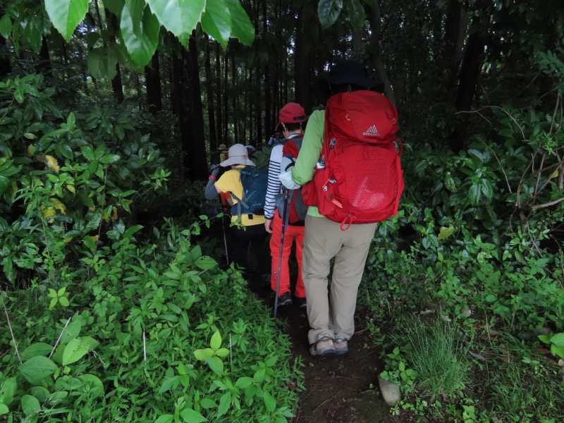 赤ぼっこ、長渕山ハイキングコース