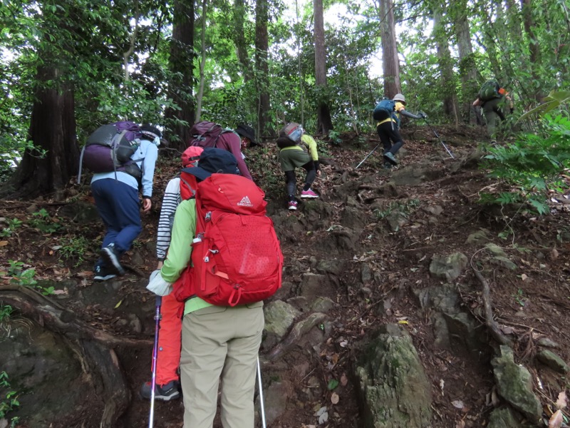 赤ぼっこ、長渕山ハイキングコース