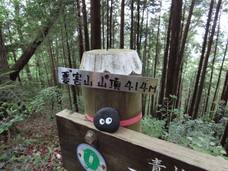 赤ぼっこ、長渕山ハイキングコース