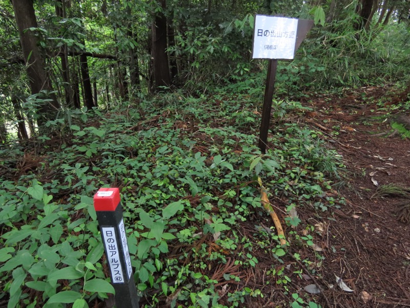 赤ぼっこ、長渕山ハイキングコース