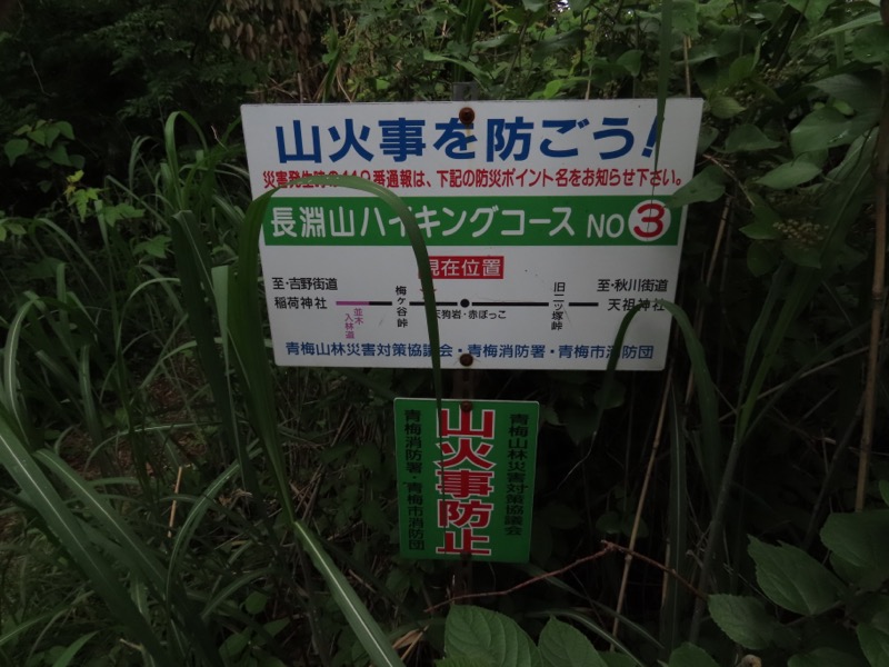 赤ぼっこ、長渕山ハイキングコース