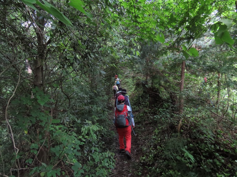 赤ぼっこ、長渕山ハイキングコース