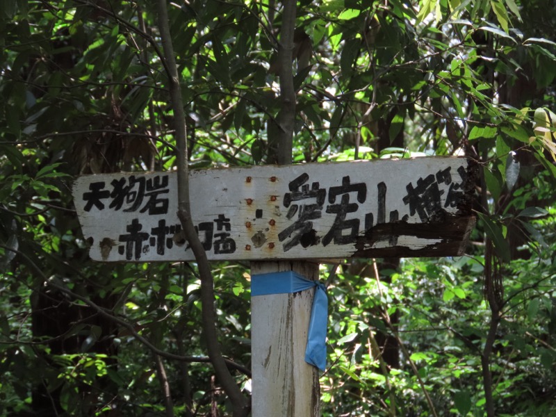 赤ぼっこ、長渕山ハイキングコース