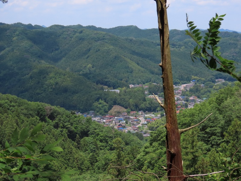 赤ぼっこ、長渕山ハイキングコース