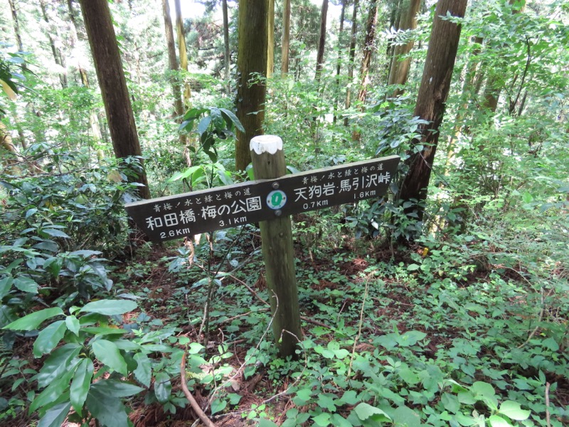 赤ぼっこ、長渕山ハイキングコース