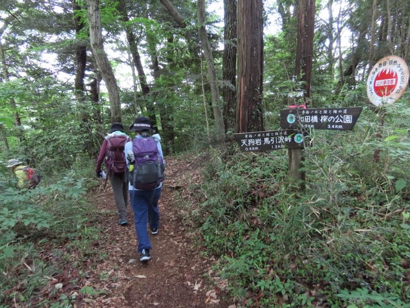 赤ぼっこ、長渕山ハイキングコース