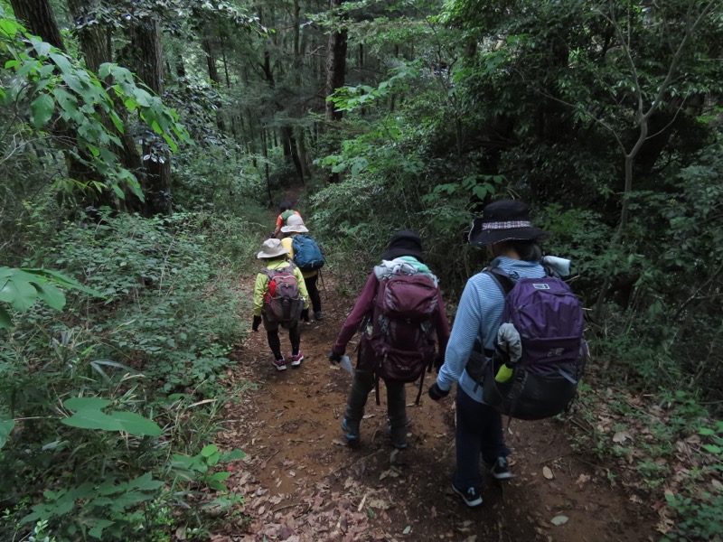 赤ぼっこ、長渕山ハイキングコース