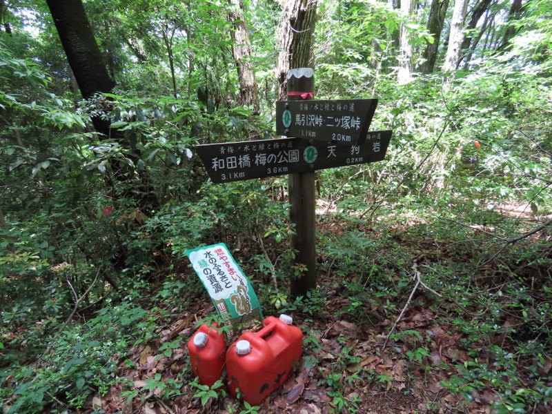 赤ぼっこ、長渕山ハイキングコース