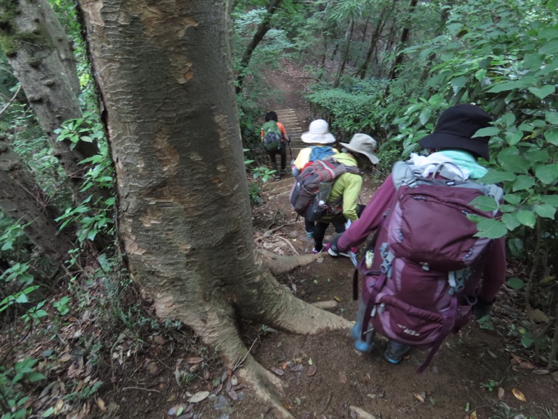 赤ぼっこ、長渕山ハイキングコース