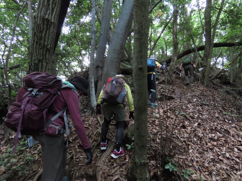 赤ぼっこ、長渕山ハイキングコース