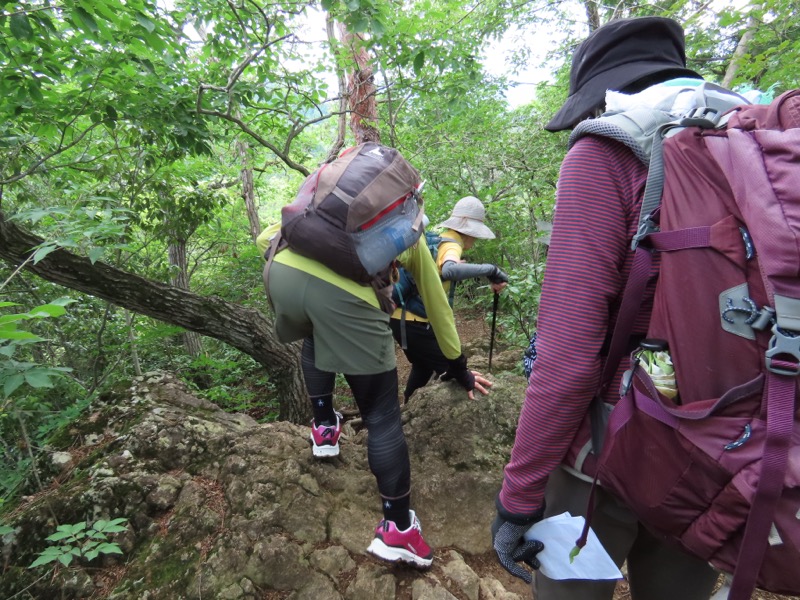 赤ぼっこ、長渕山ハイキングコース