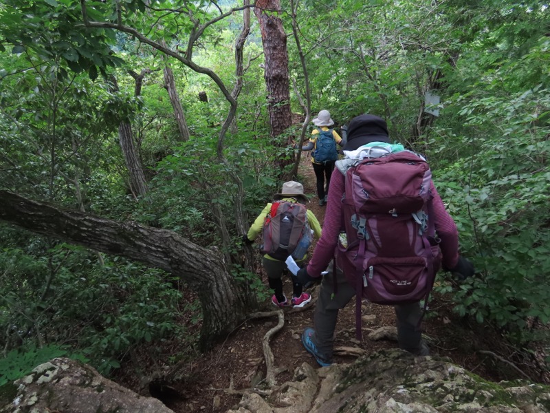 赤ぼっこ、長渕山ハイキングコース