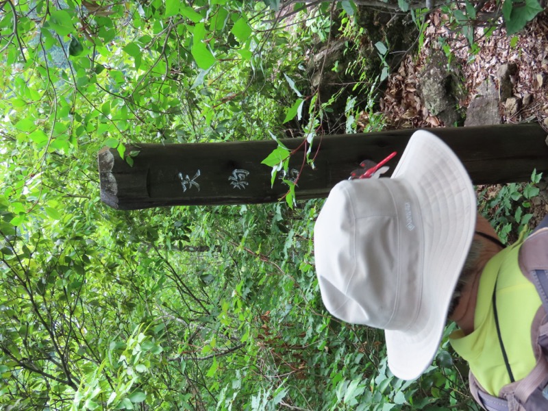 赤ぼっこ、長渕山ハイキングコース