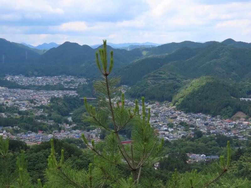 赤ぼっこ、長渕山ハイキングコース