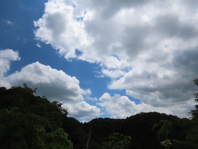 赤ぼっこ、長渕山ハイキングコース