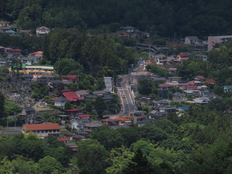 赤ぼっこ、長渕山ハイキングコース