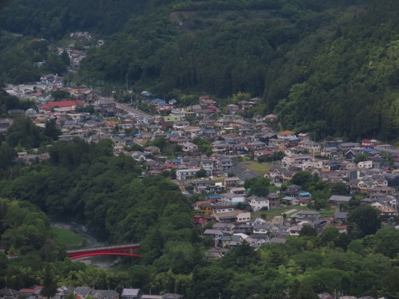 赤ぼっこ、長渕山ハイキングコース