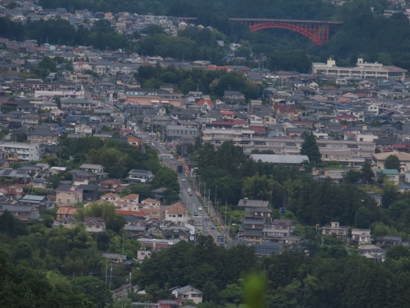 赤ぼっこ、長渕山ハイキングコース