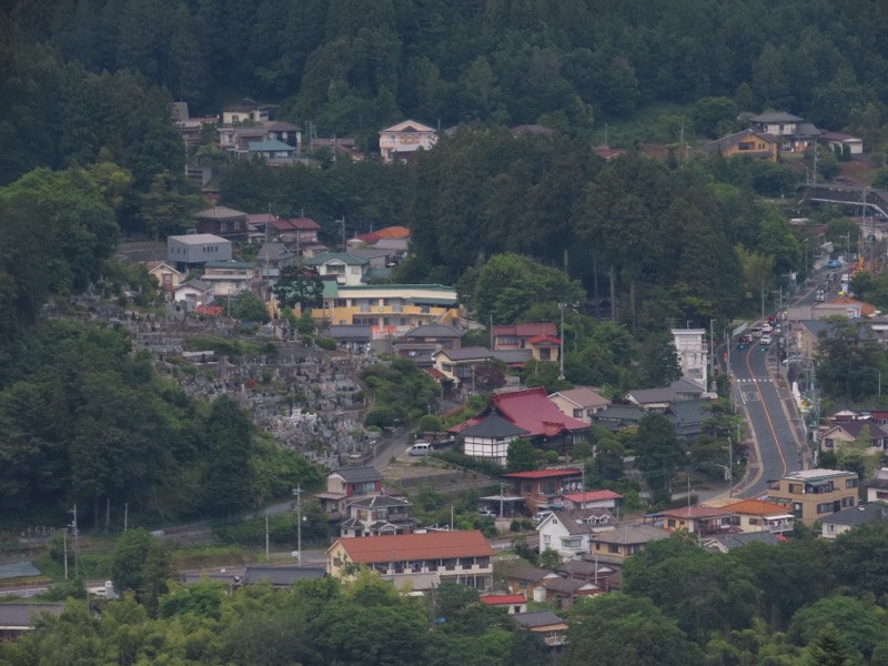 赤ぼっこ、長渕山ハイキングコース