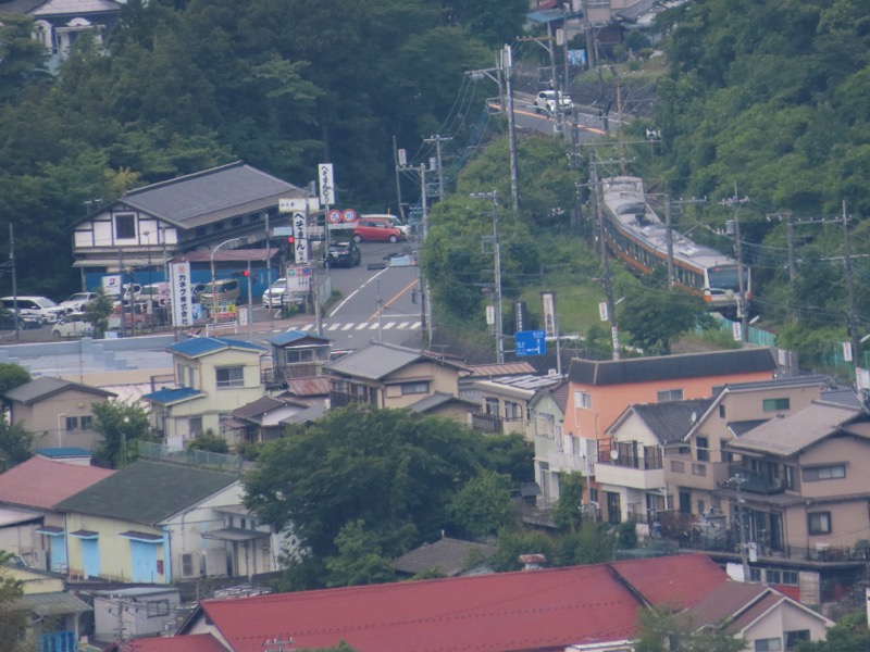 赤ぼっこ、長渕山ハイキングコース