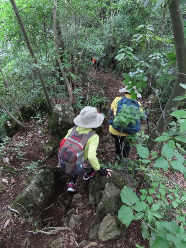 赤ぼっこ、長渕山ハイキングコース