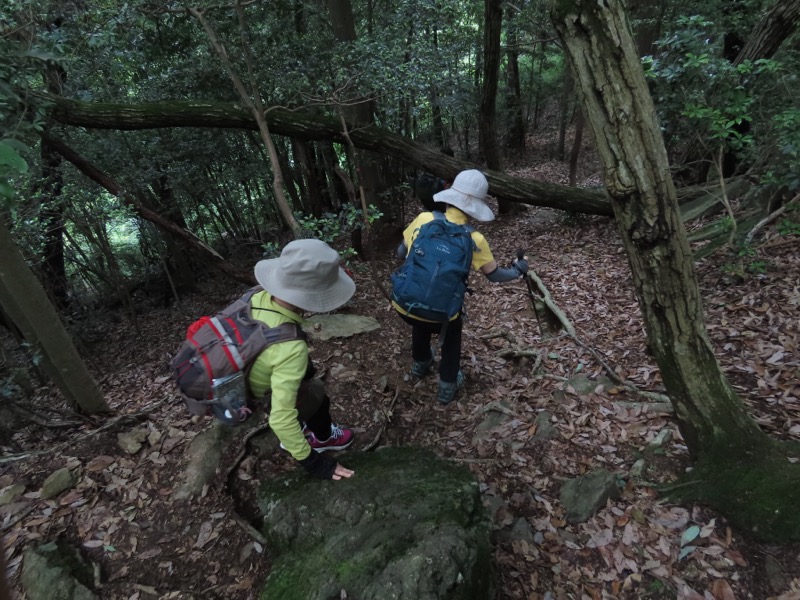 赤ぼっこ、長渕山ハイキングコース