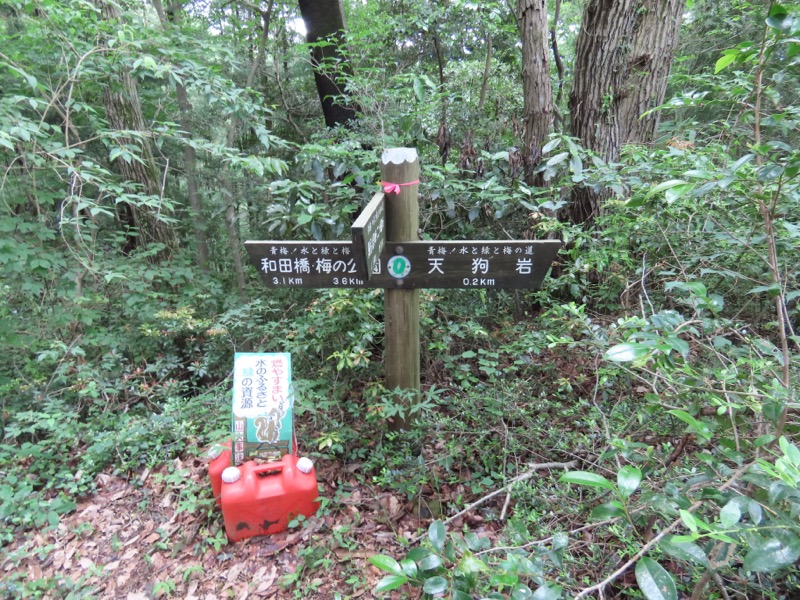 赤ぼっこ、長渕山ハイキングコース