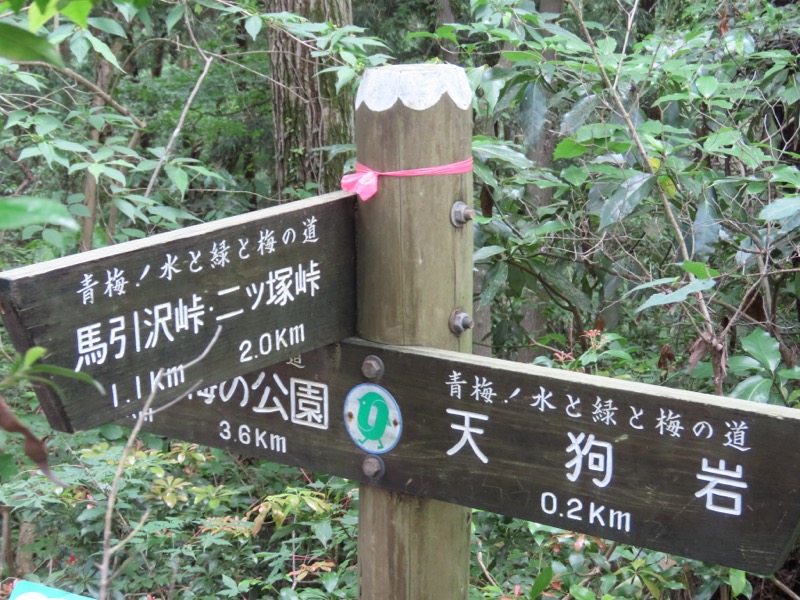 赤ぼっこ、長渕山ハイキングコース