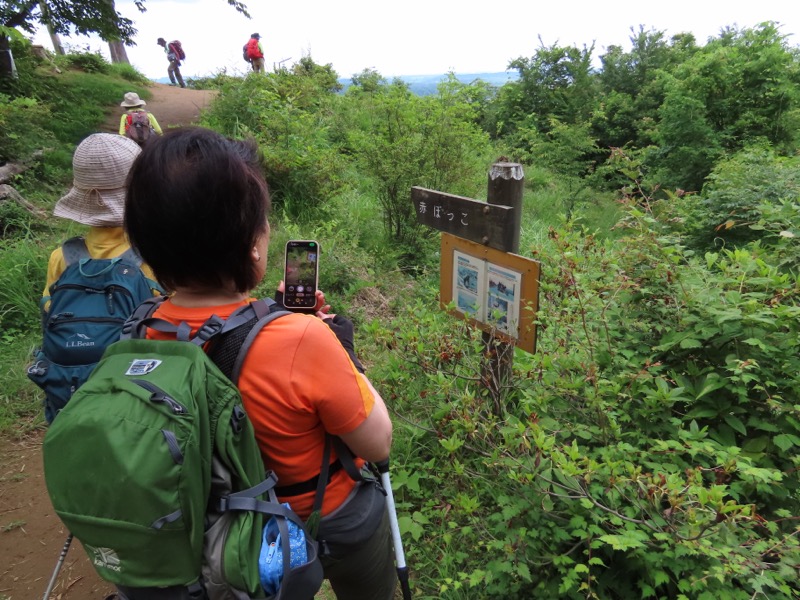 赤ぼっこ、長渕山ハイキングコース