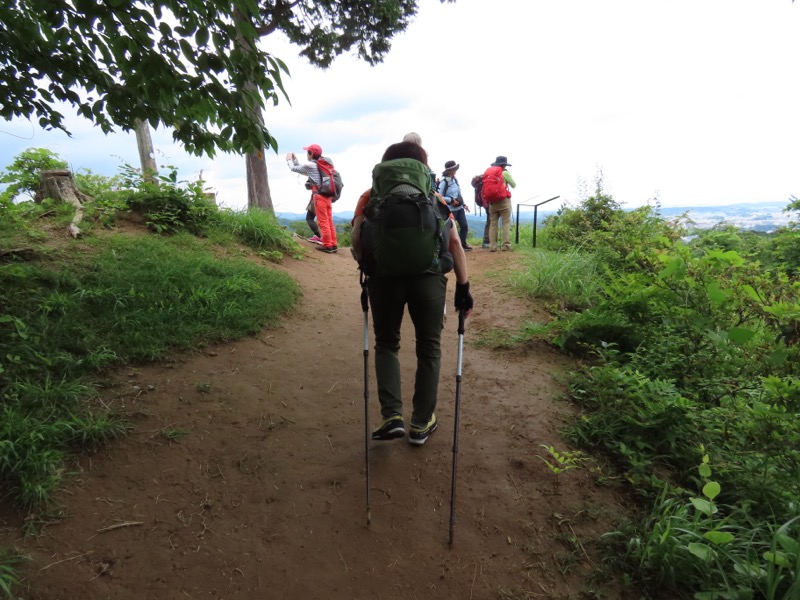 赤ぼっこ、長渕山ハイキングコース