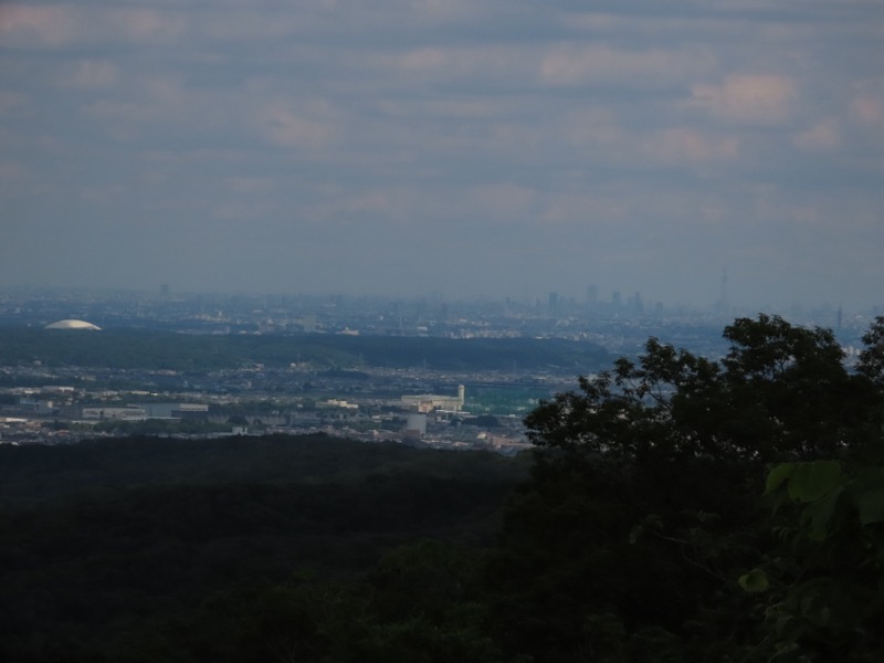 赤ぼっこ、長渕山ハイキングコース