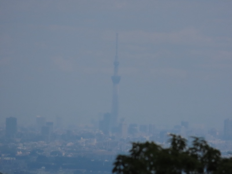 赤ぼっこ、長渕山ハイキングコース