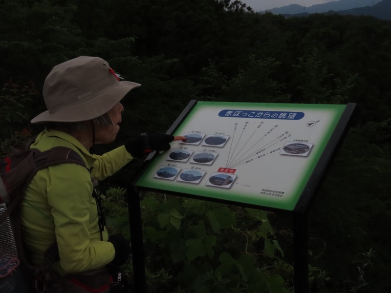 赤ぼっこ、長渕山ハイキングコース