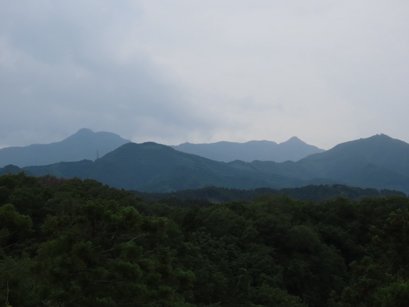 赤ぼっこ、長渕山ハイキングコース