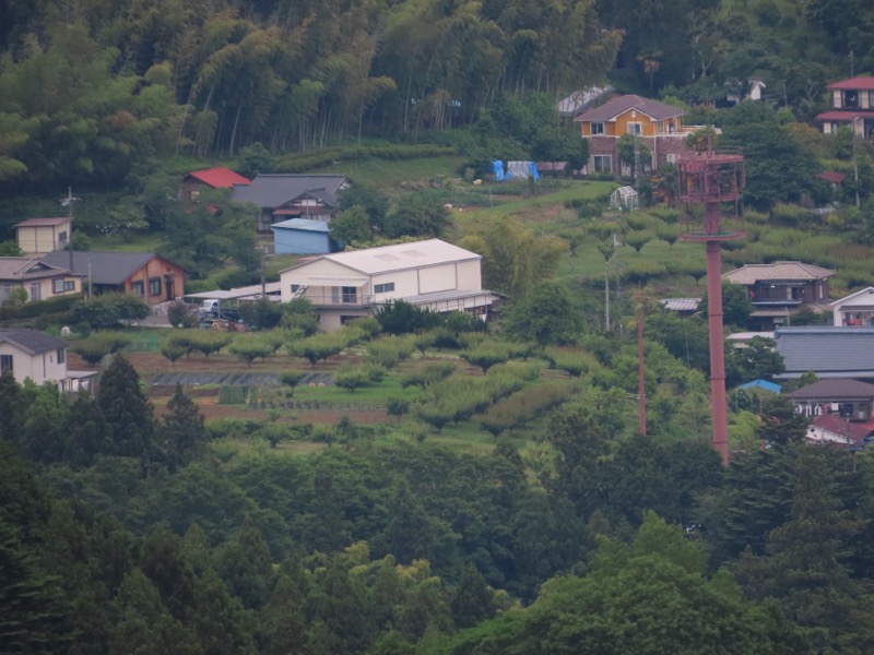 赤ぼっこ、長渕山ハイキングコース