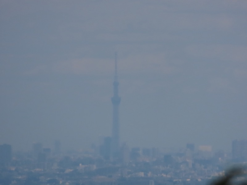 赤ぼっこ、長渕山ハイキングコース