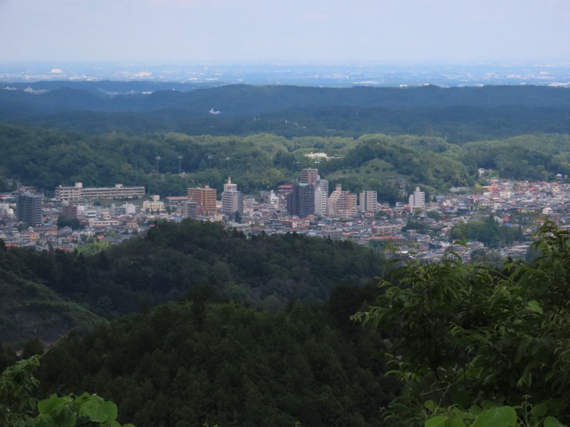 赤ぼっこ、長渕山ハイキングコース