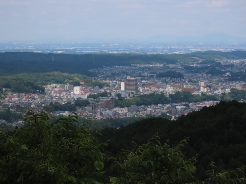 赤ぼっこ、長渕山ハイキングコース