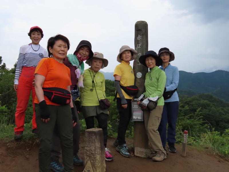 赤ぼっこ、長渕山ハイキングコース