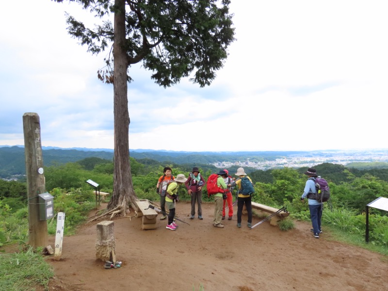 赤ぼっこ、長渕山ハイキングコース