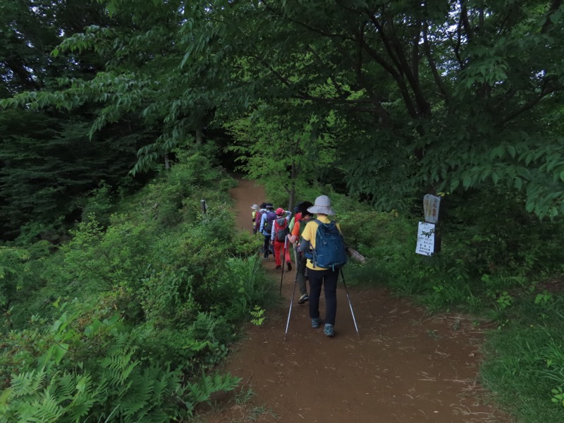 赤ぼっこ、長渕山ハイキングコース