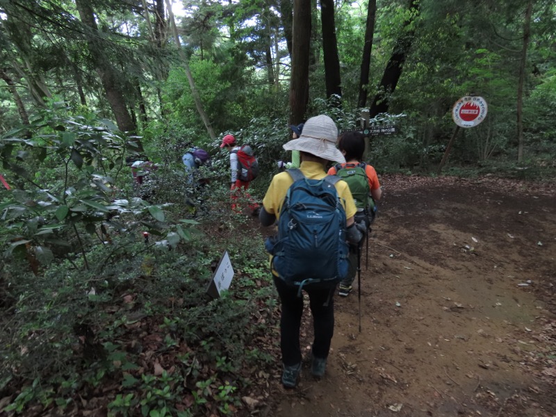 赤ぼっこ、長渕山ハイキングコース