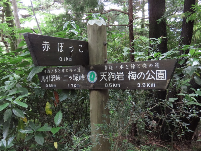 赤ぼっこ、長渕山ハイキングコース