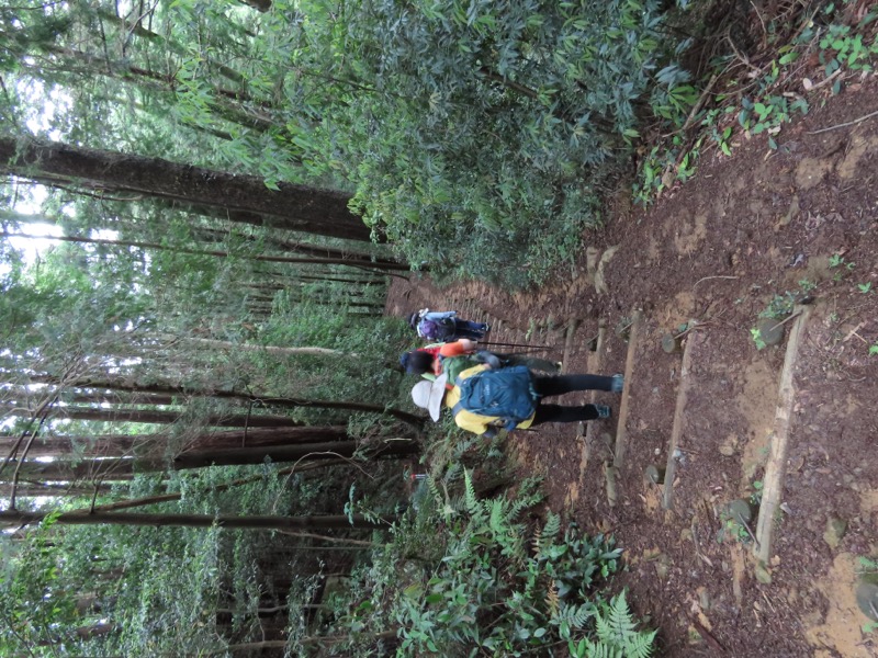 赤ぼっこ、長渕山ハイキングコース